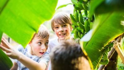 a group of kids looking through the leaves